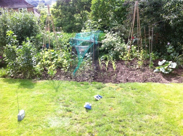 20120721-154749.jpg