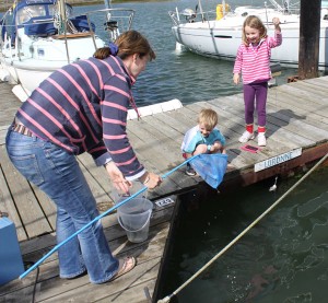 Crabbing in Fareham Crabbing in Fareham