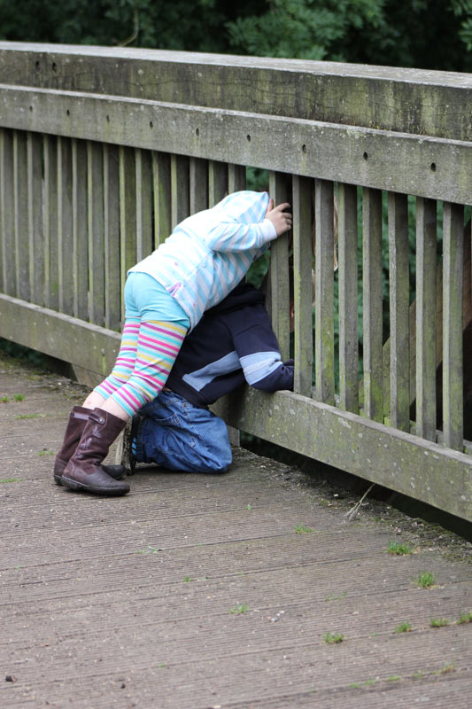 Pooh Sticks Denham Pooh Sticks Denham